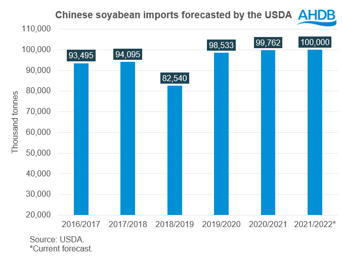 Figure showing Chinese imports forecasted by USDA